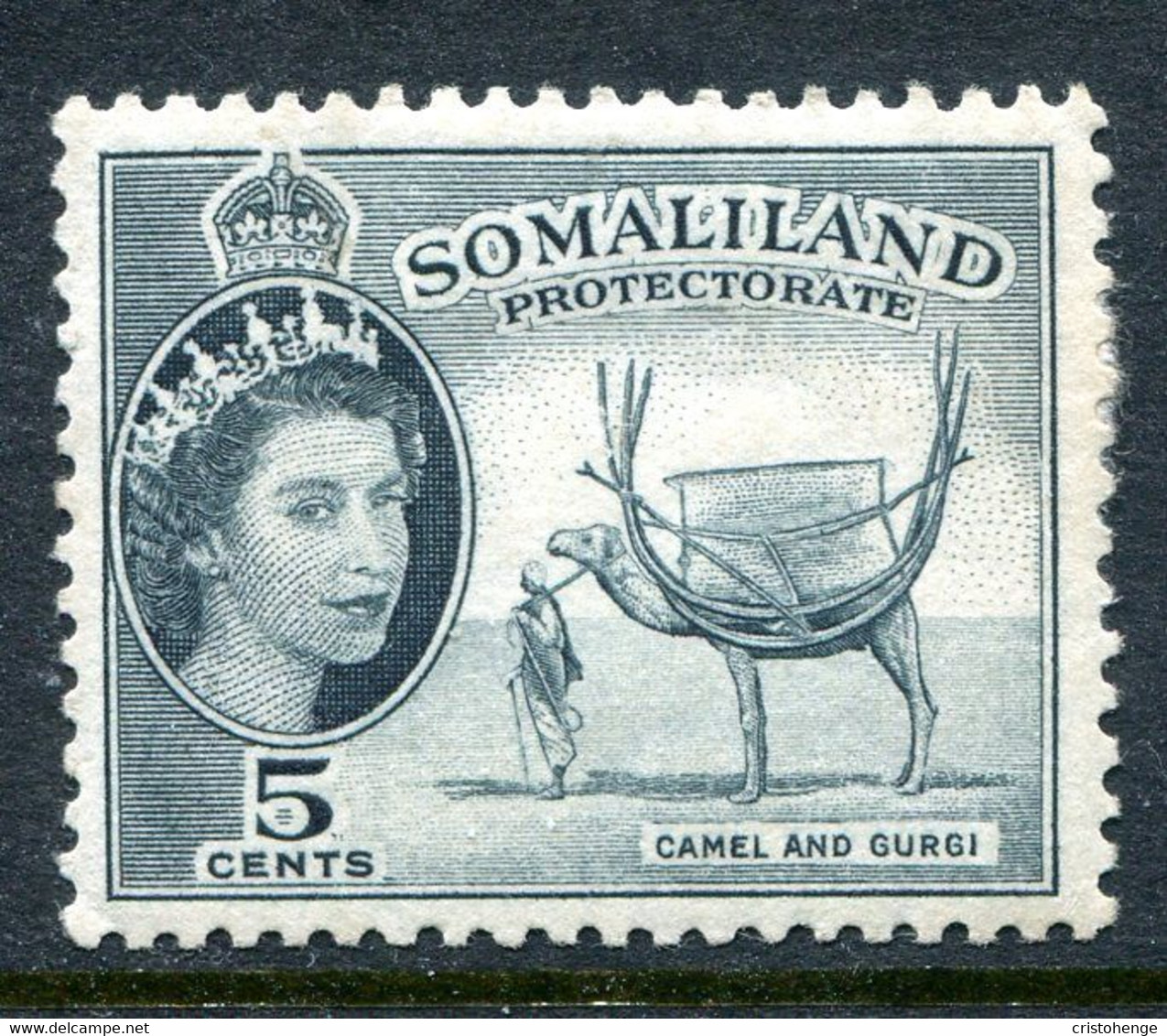 Somaliland 1953-58 QEII Pictorials - 5c Camel & Gurgi HHM (SG 137) - Paper Adhesion - Somaliland (Protectorate ...-1959)