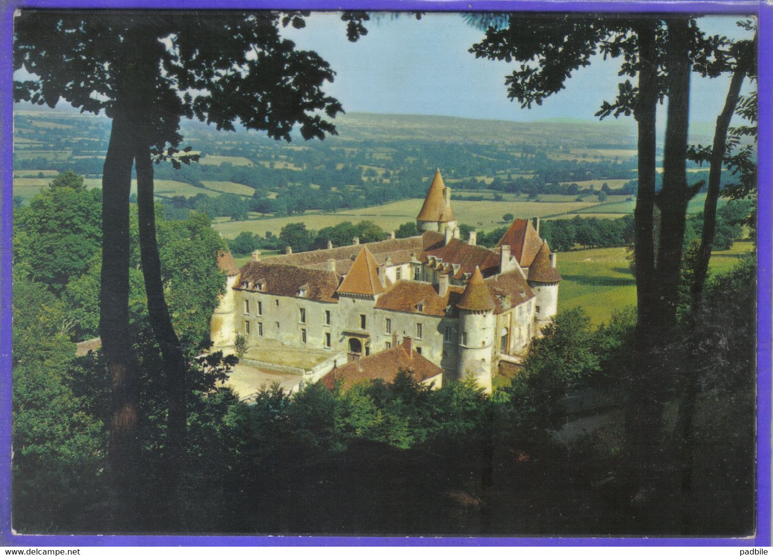 Carte Postale 58. Bazoches Du Morvand  Le Chateau  Très Beau Plan - Bazoches