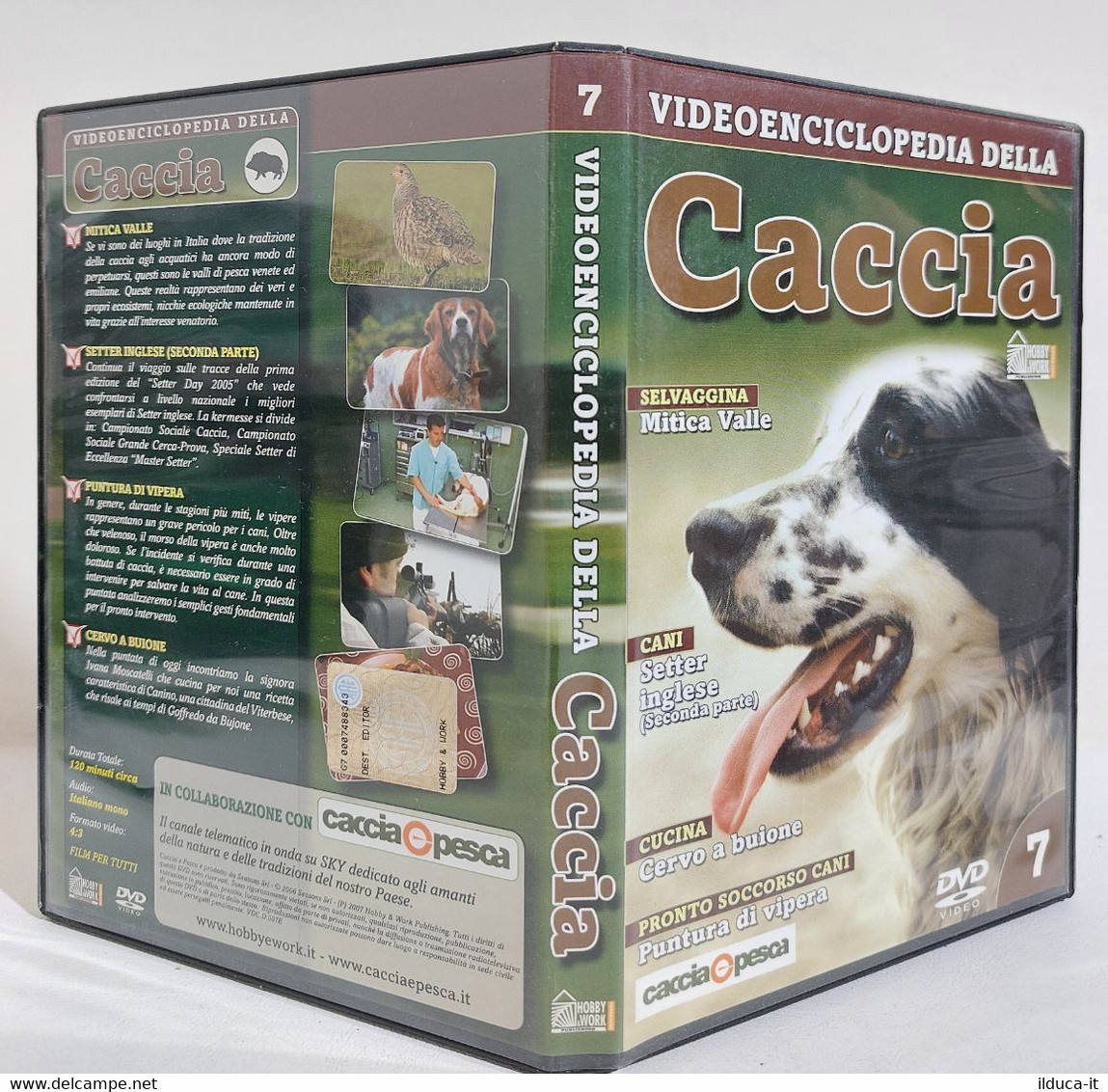 I119991 DVD - Video Enciclopedia Della Caccia Nr 7 - Setter Inglese, Cervo - Sports