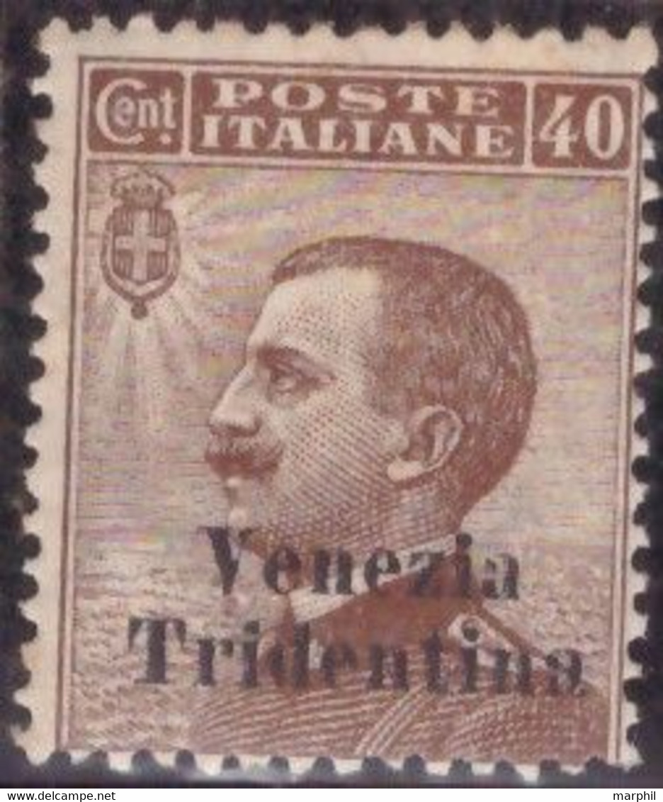 Venezia Tridentina 1918 SaN°24 40c MLH/* Vedere Scansione - Usados