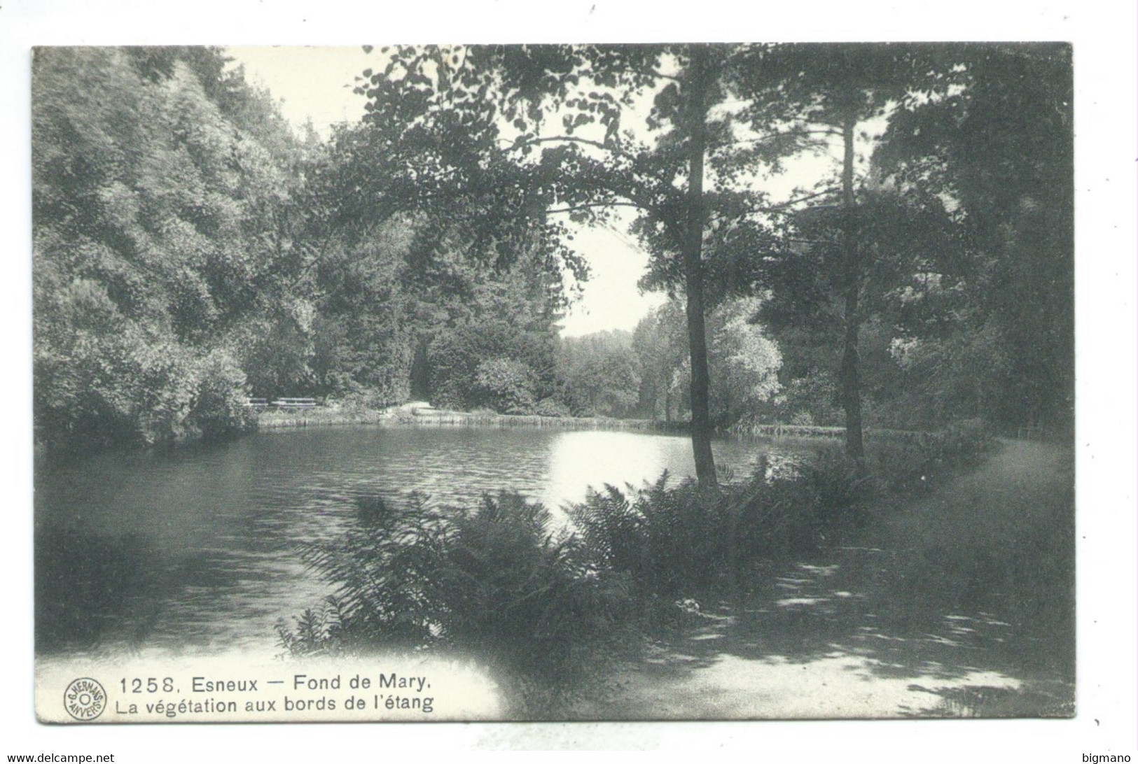 Esneux - Fond De Mary - La Végétation Aux Bords De L'étang - G. Hermans N° 1258   ( Carte Ayant Voyagé ) - Esneux