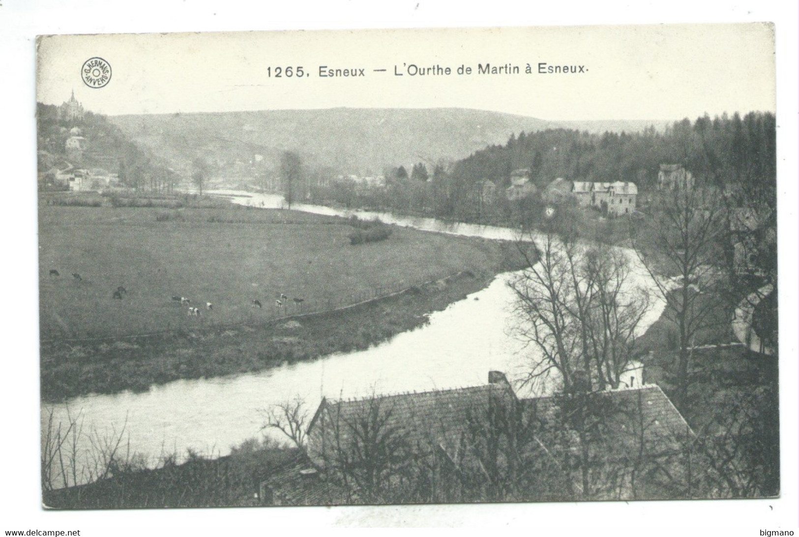 Esneux Ourthe De Martin à Esneux   ( Carte Ayant Voyagé ) - Esneux