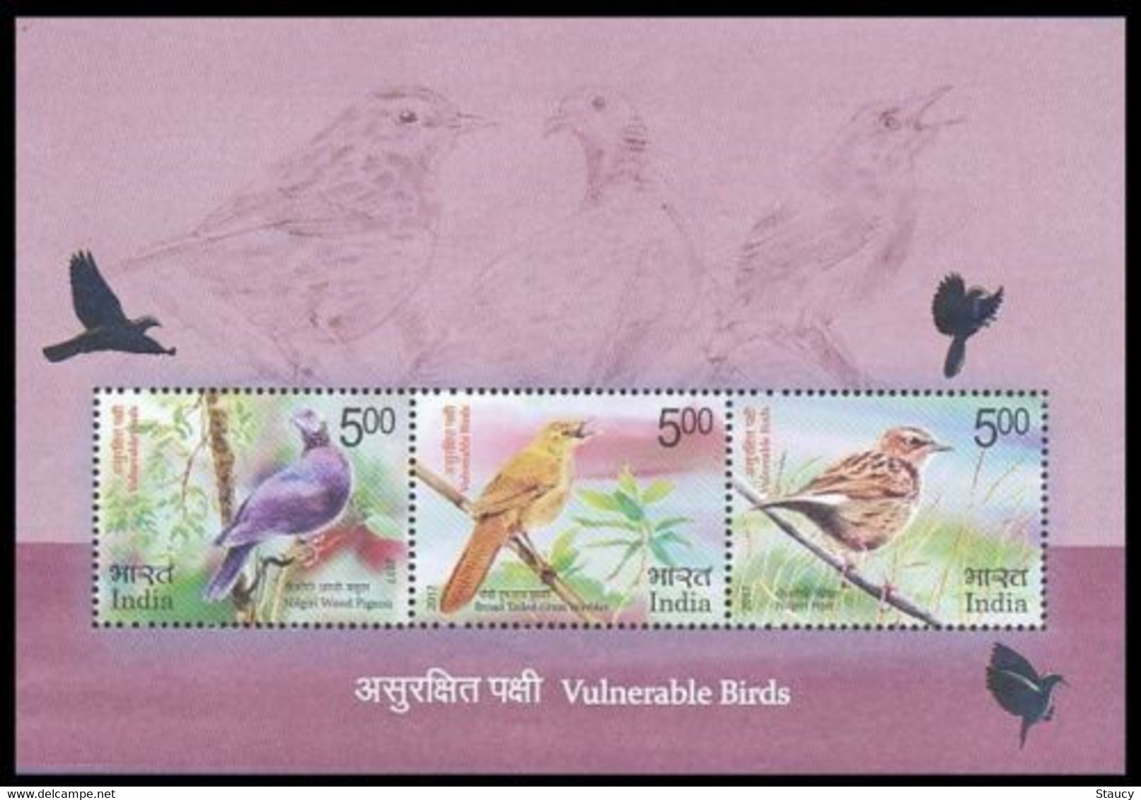 INDIA 2017 Vulnerable Birds Stamps MINIATURE SHEET MS MNH - Moineaux