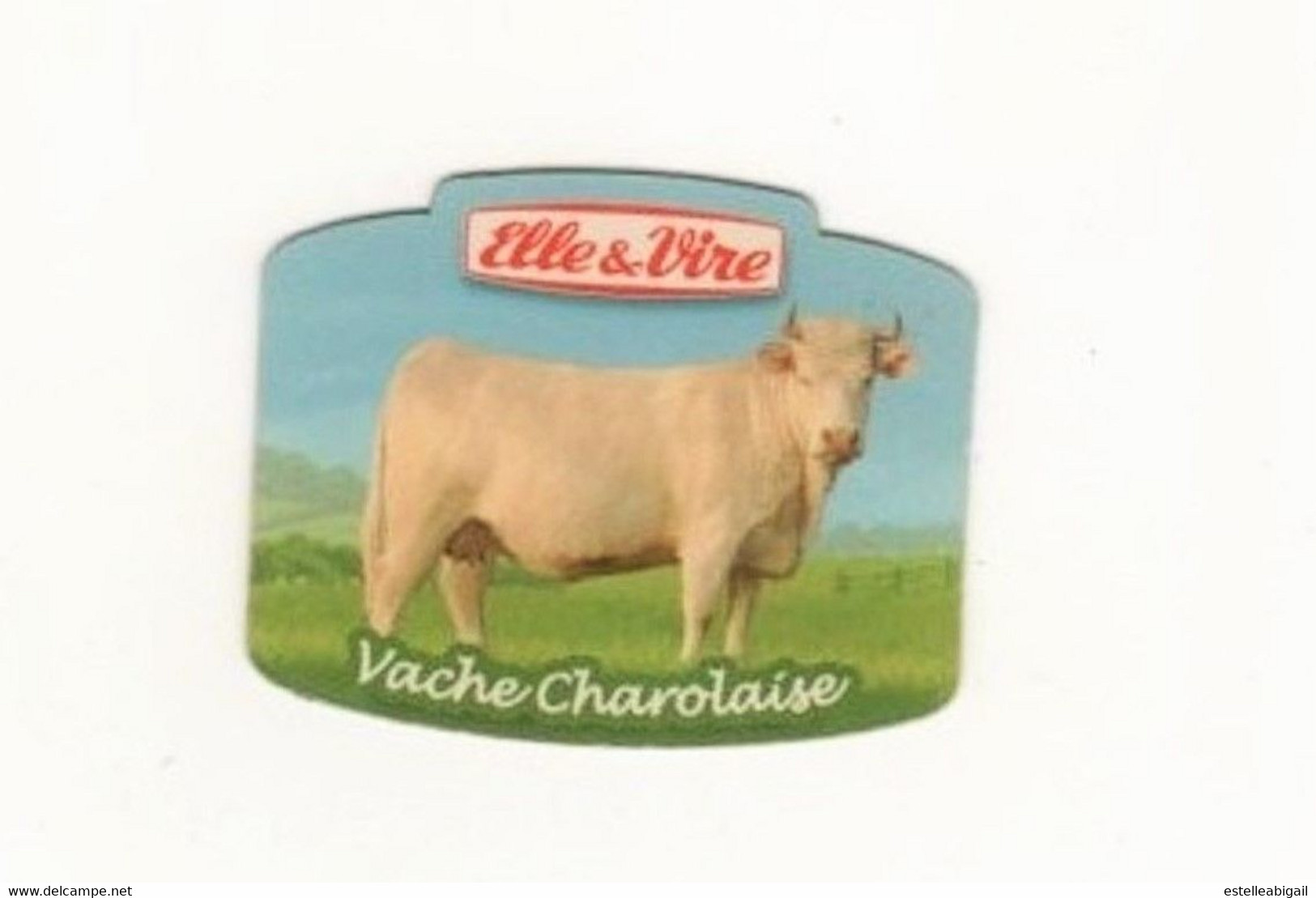 Elle&Vire   Vache Charolaise - Publicitaires