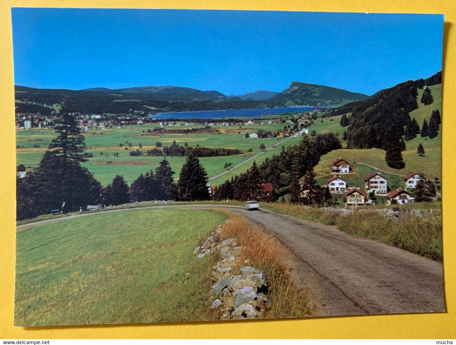 18149 - Vallée De Joux Vue De La Route Du Marchairuz - Le Chenit