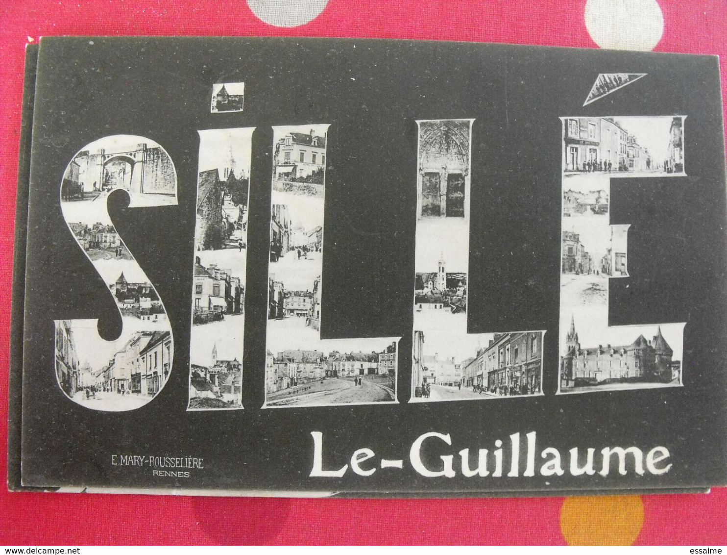 Carte Postale Souvenir De  Sillé Le Guillaume. Sarthe 72 - Souvenir De...