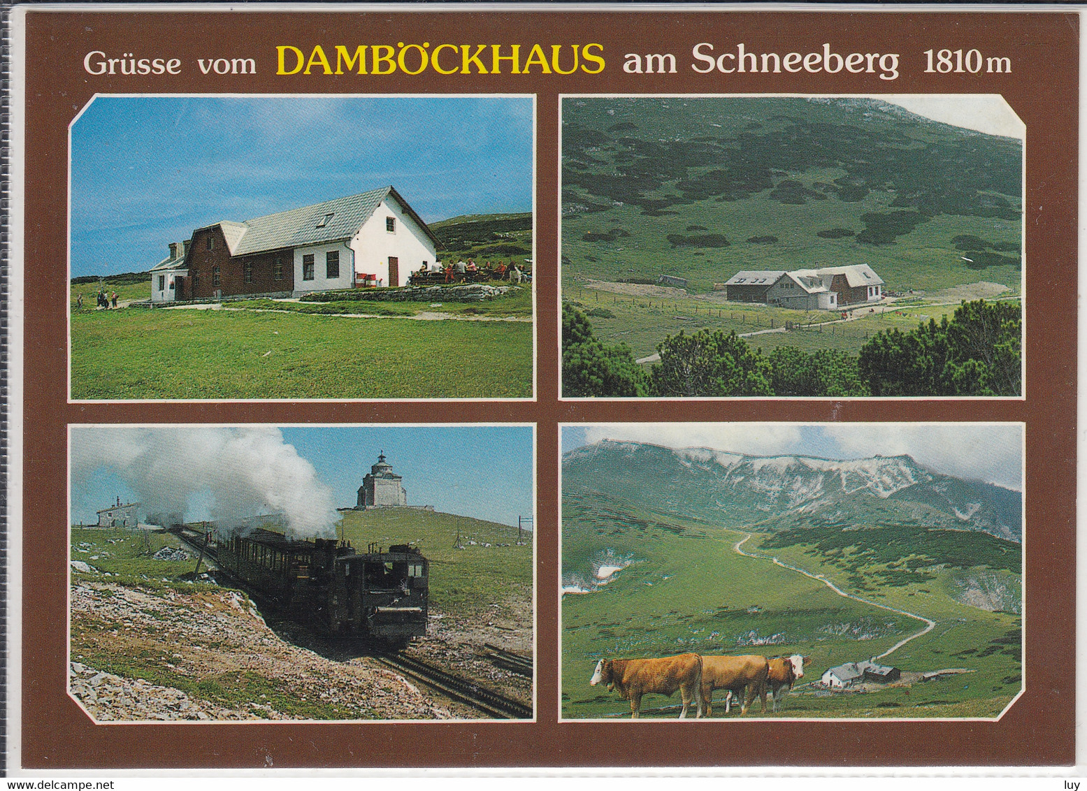 PUCHBERG - DAMBÖCKHAUS Am Schneeberg, Mehrfachansicht, Zahnrad Bahn , Rack Railway, - Schneeberggebiet