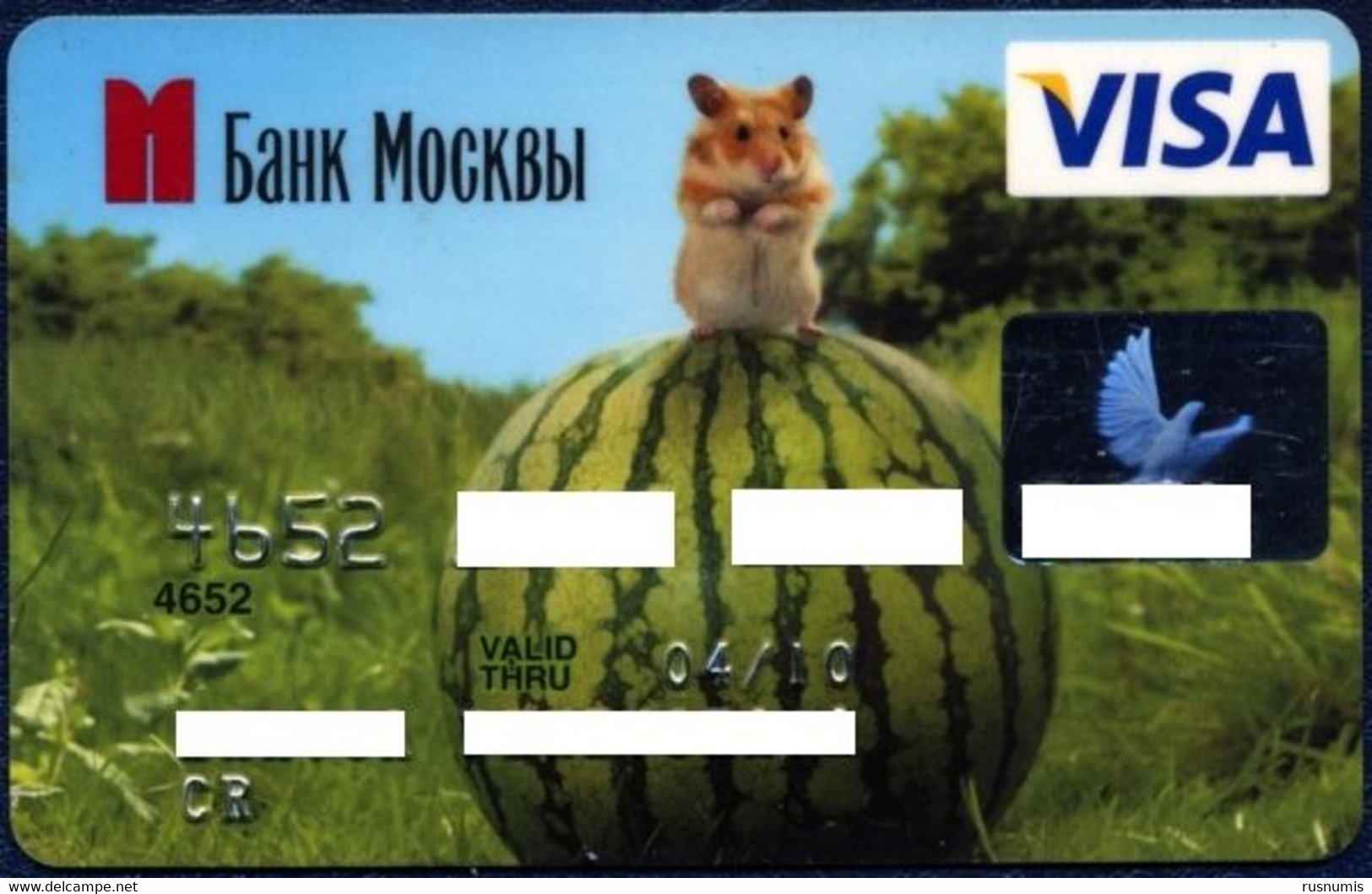 RUSSIA BANK OF MOSCOW VISA CARD FAUNA ANIMALS HAMSTER WATERMELON EXP. 2010 - Credit Cards (Exp. Date Min. 10 Years)