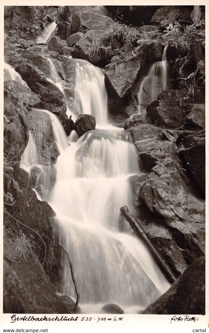 GERTELBACHSCHLUCHT - Buehlertal