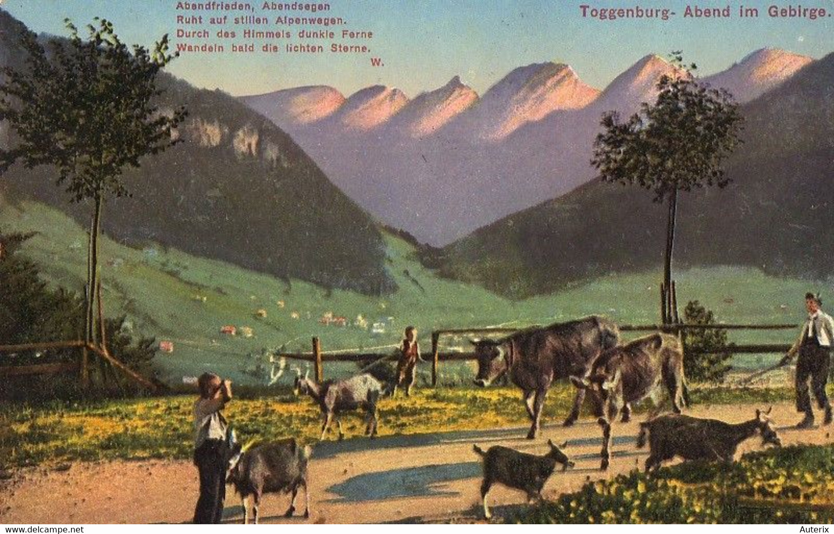 Suisse - C -  St. Gall - Toggenburg - Abend Im Gebirge Colorisée Chevres Ziege Goat - St. Gallen