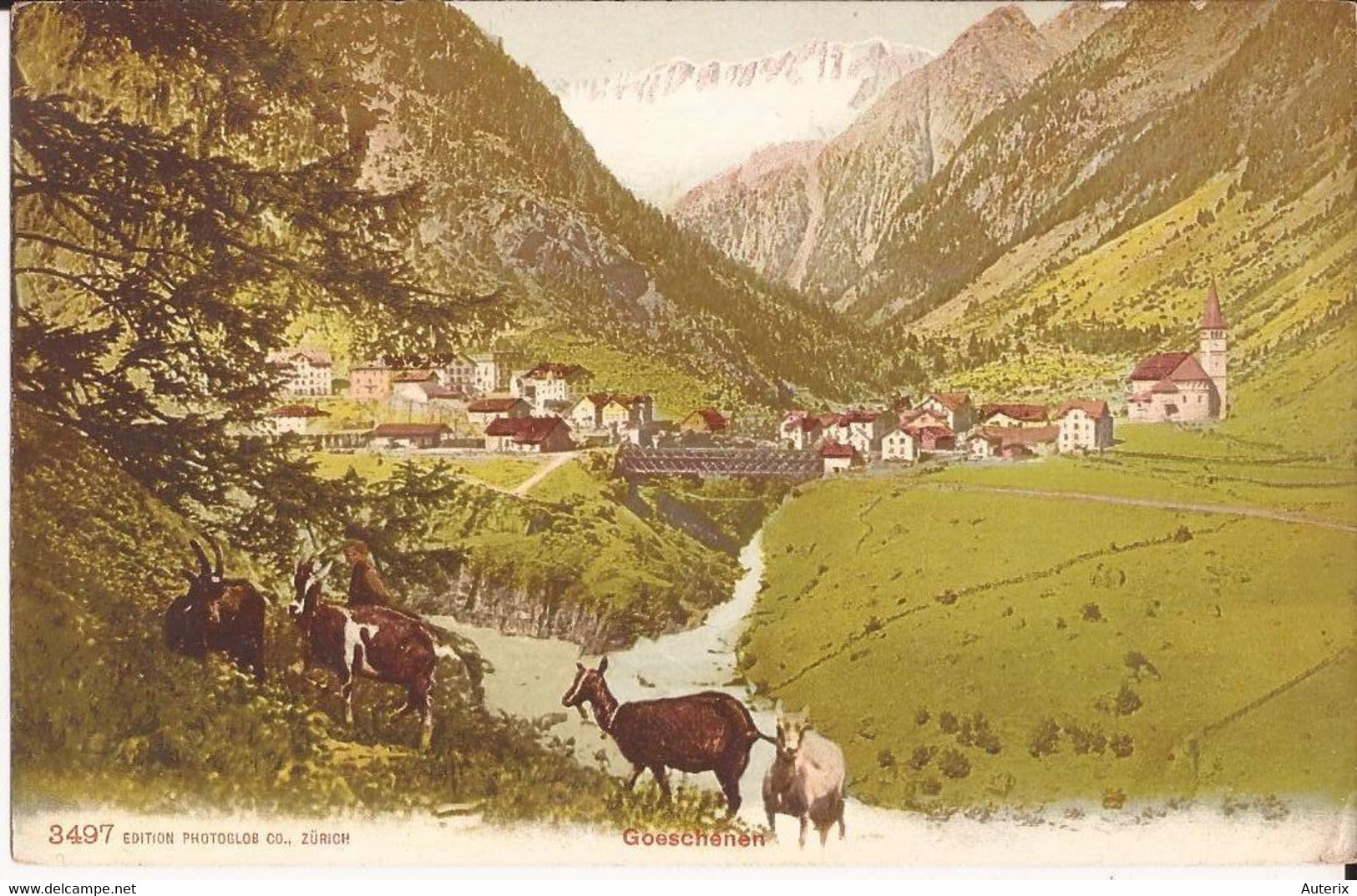 Suisse - C - Uri - Goeschenen Colorisée Chevres Ziege Goat - Göschenen