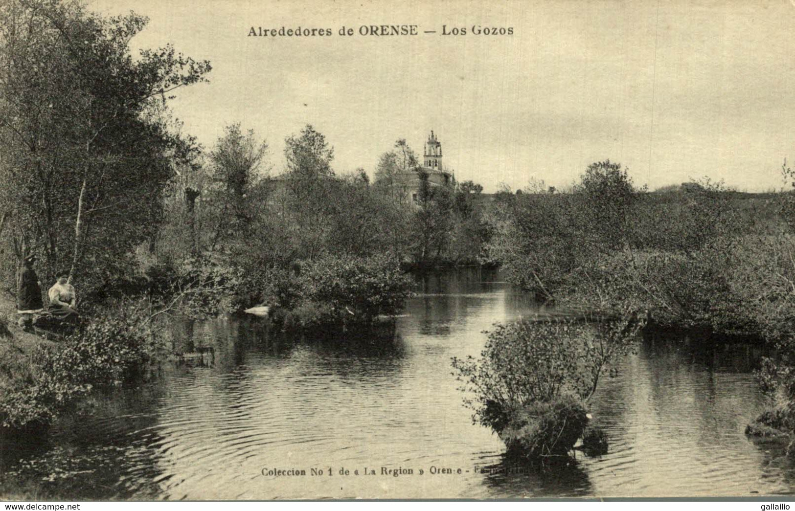 RARE AIREDEDORES DE ORENSE LOS GOZOS - Orense