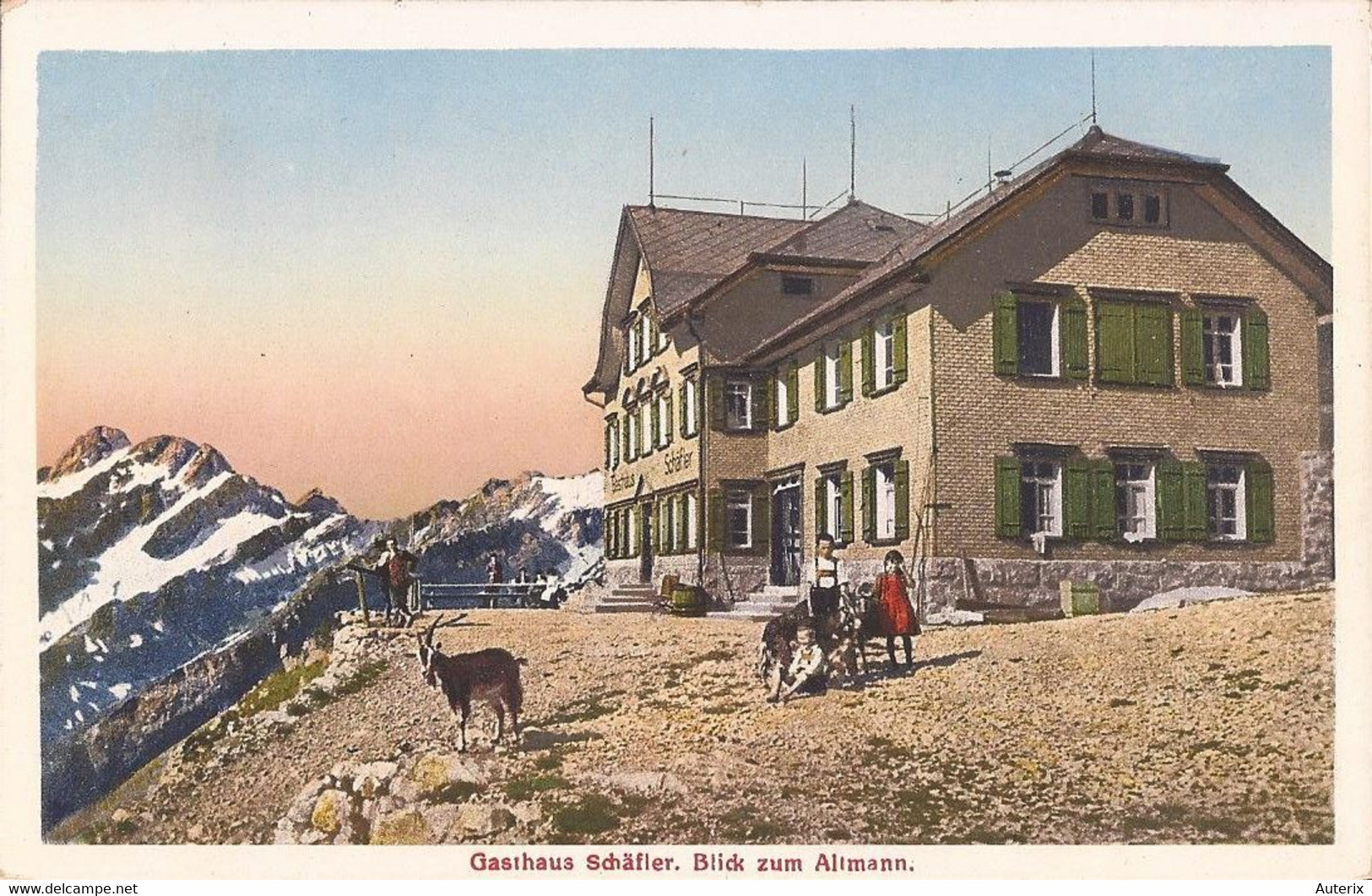 Suisse - C -  Appenzell - Gasthaus Schafler - Blick Zum Altmann Colorisée Chevres Ziege Goat - Other & Unclassified