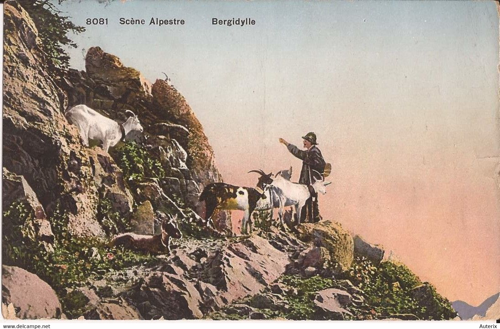 Suisse - NL - Scène Alpestre - Bergidylle 8081 Colorisee Chevre Ziege Goat - Berg