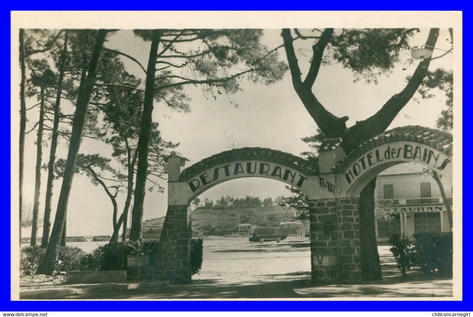 * Cp Photo - CAVALAIRE - Hôtel Des Bains - Restaurant Bar - 1501 - Edit. MALO - 1948 - Cavalaire-sur-Mer