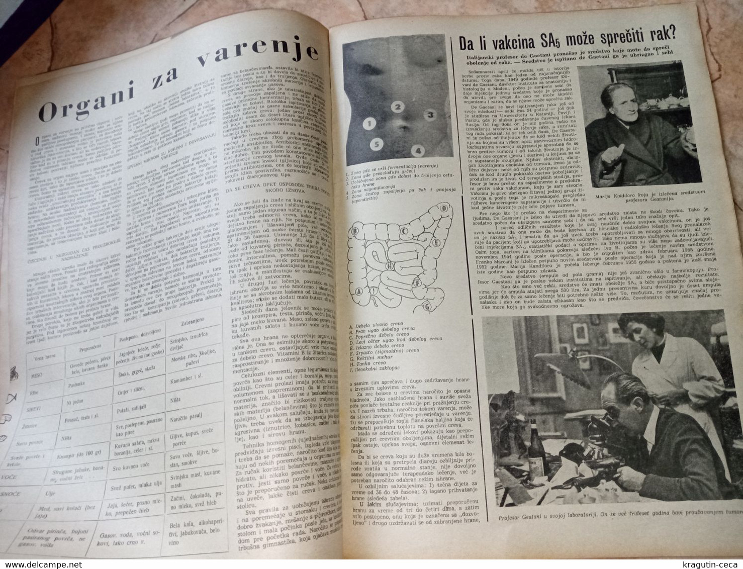 1956 YUGOSLAVIA VINTAGE MAGAZINE NEWSPAPERS Branislav Mihajlovic Dr Giovanni Gaetani VACCINES Auschwitz Noëlle Adam film