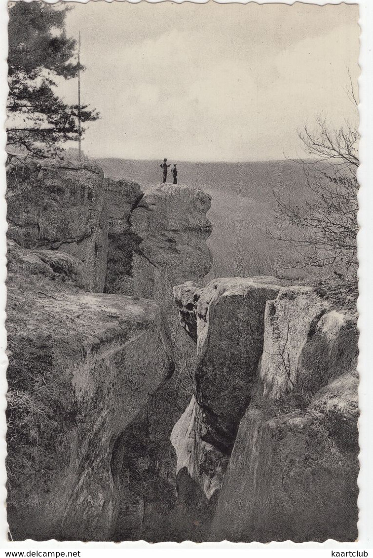 L'ile Du Diable - Promenade B.  - Luxembourg - 1956 - Berdorf