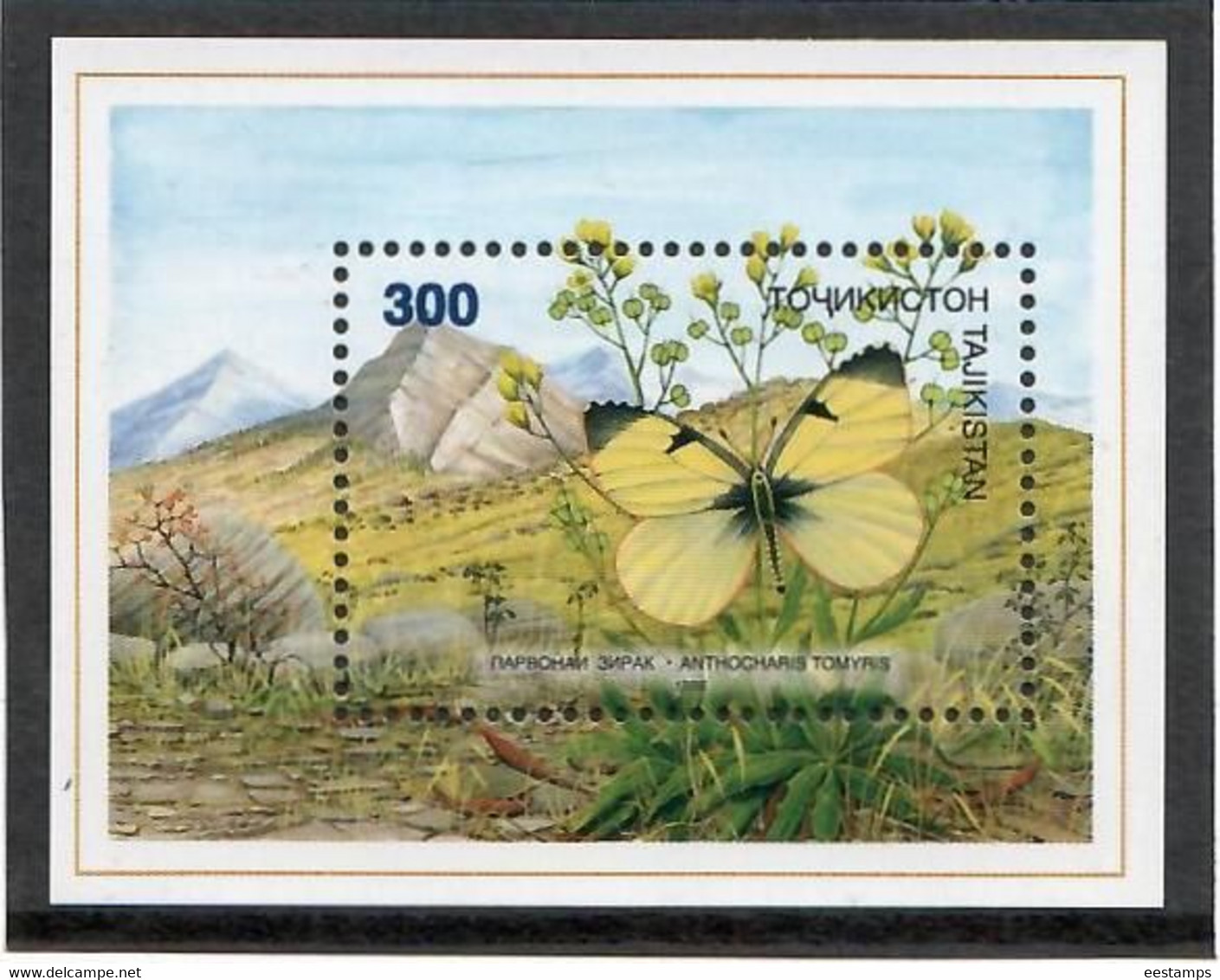 Tajikistan 1998 . Butterflies.  S/S:  300 - Tadzjikistan