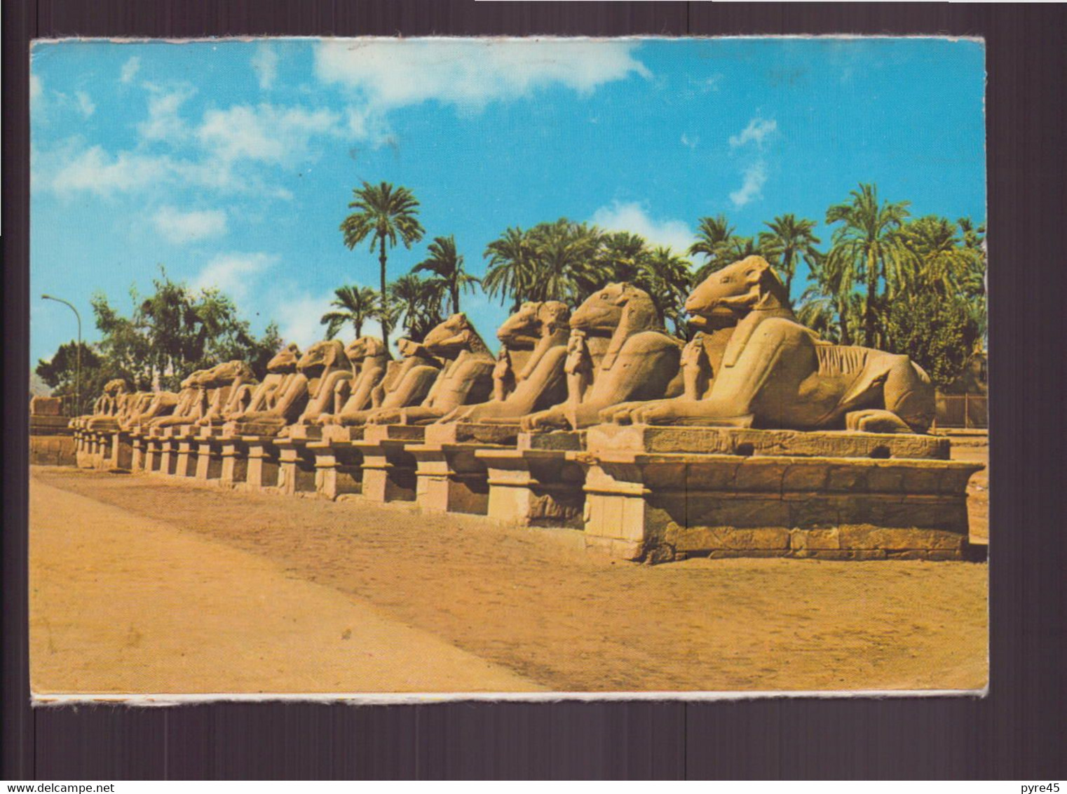 EGYPTE KARNAK AVENUE DES SPHINX - Sphinx