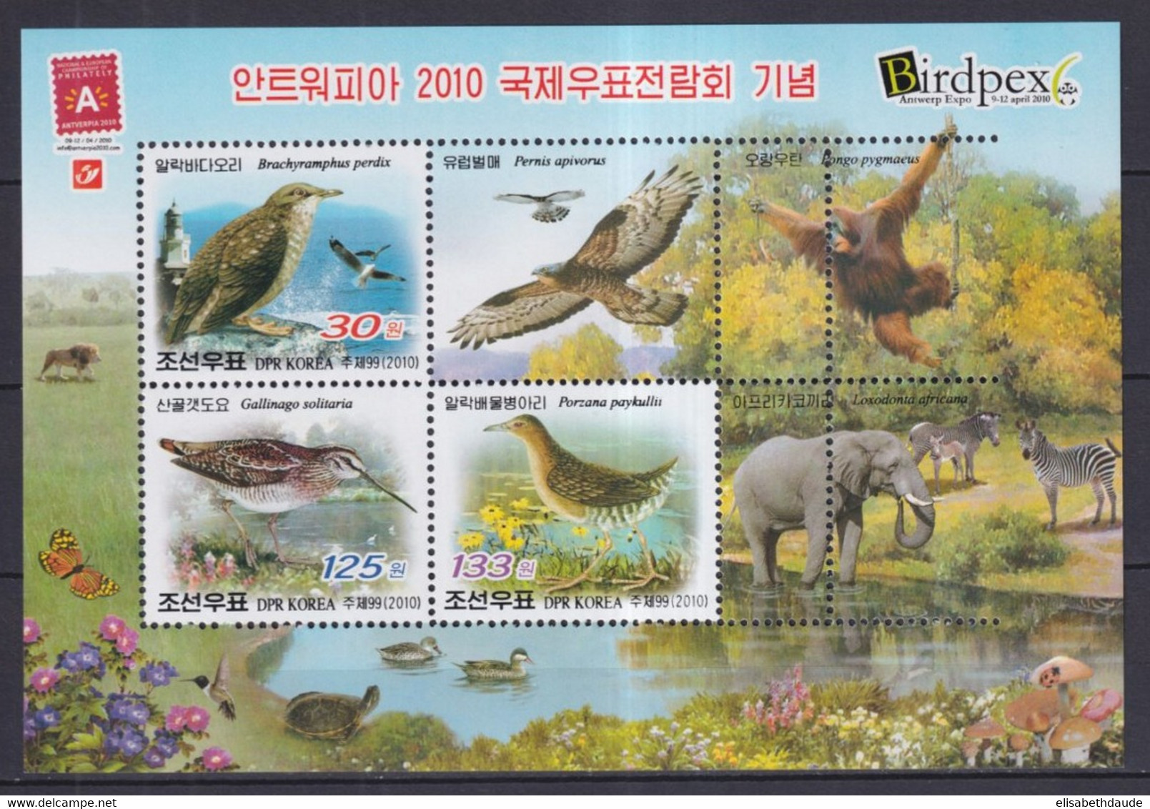 KOREA - 2010 - SERIES COMPLETES UNIQUEMENT ! 2 PAGES ** MNH - ANIMAUX/TRANSPORTS/FLEURS ETC... - Korea (Noord)