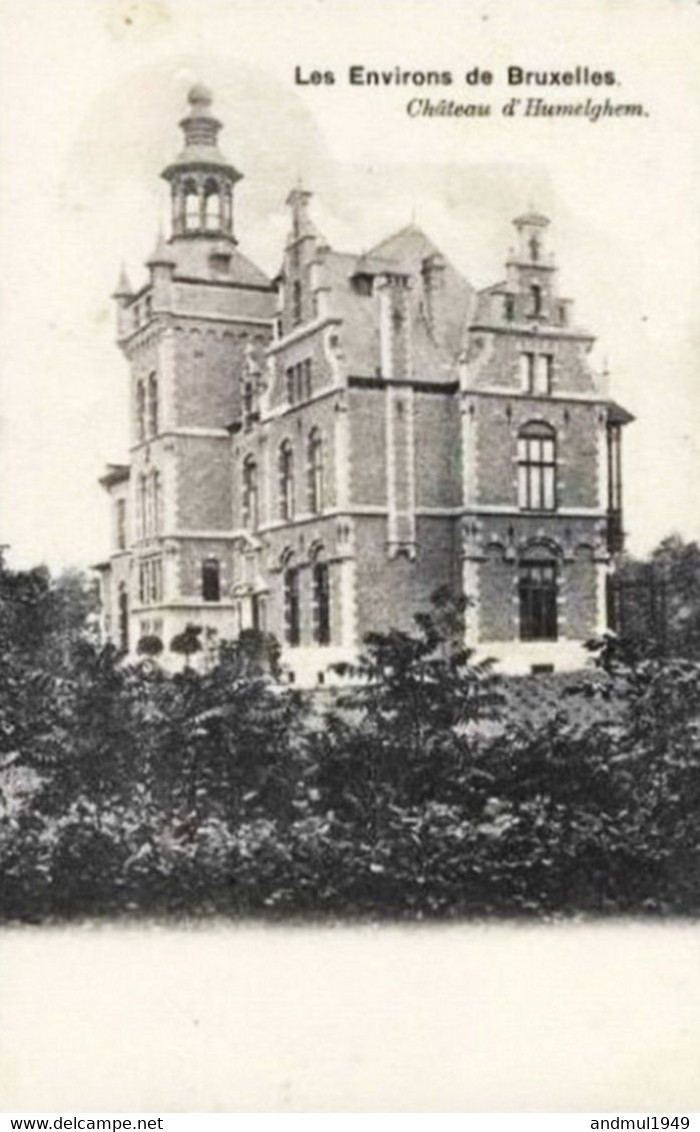 Environs De BRUXELLES - Château D'Humelgem - Carte Précurseur N'ayant Pas Circulé - Nels, Série 11, N° 196 - Steenokkerzeel