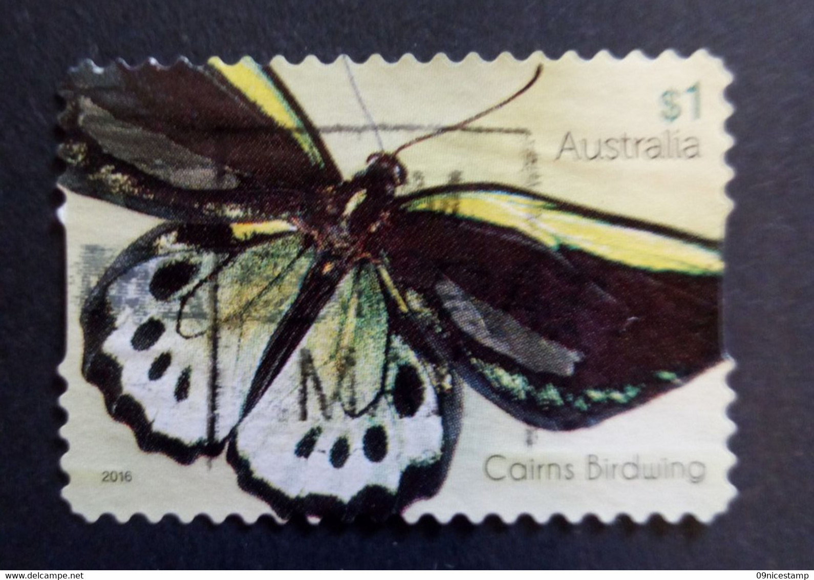 Australia, Year 2016, Cancelled, Butterfly; Cairns - Used Stamps