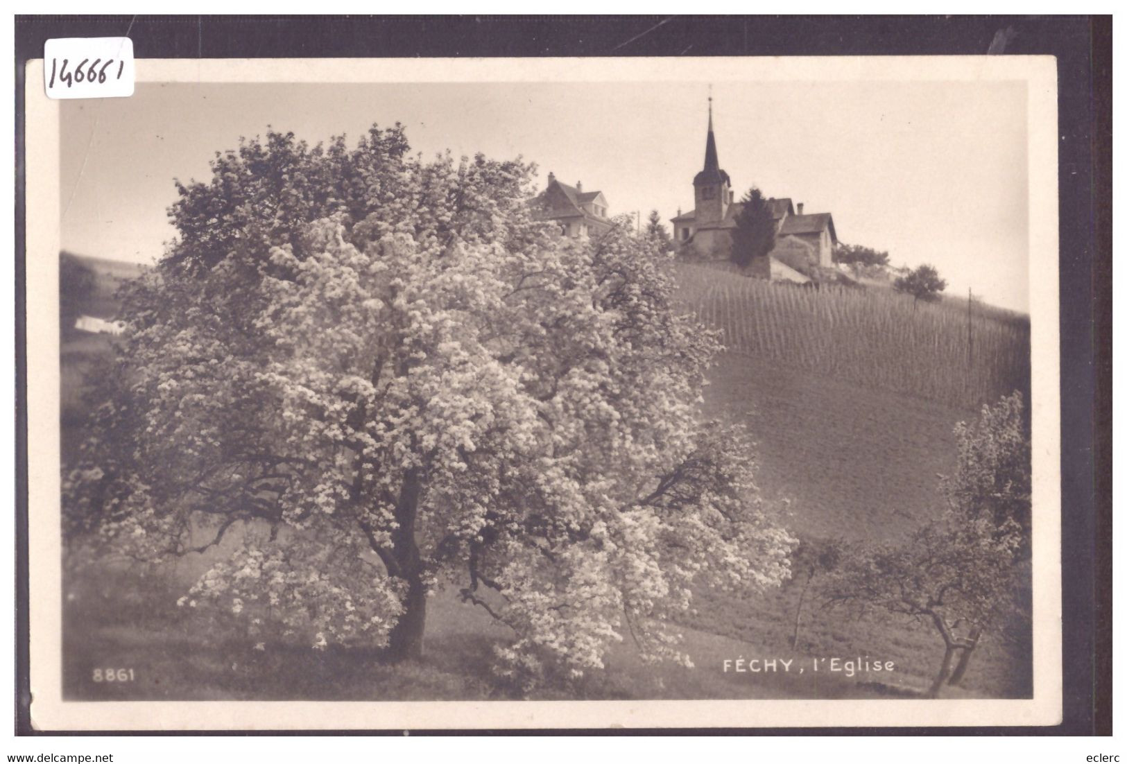 DISTRICT D'AUBONNE - FECHY - L'EGLISE - TB - Féchy