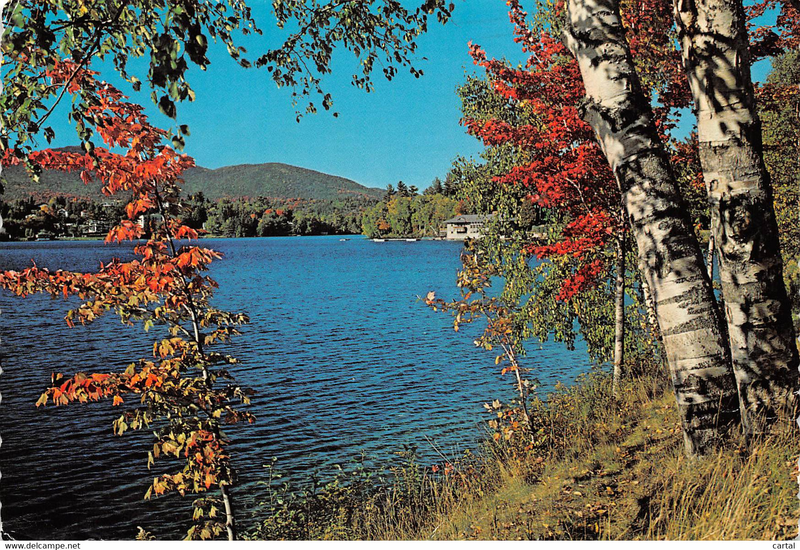 CPM - NEW YORK - Mirror Lake, Lake Placid - Adirondack