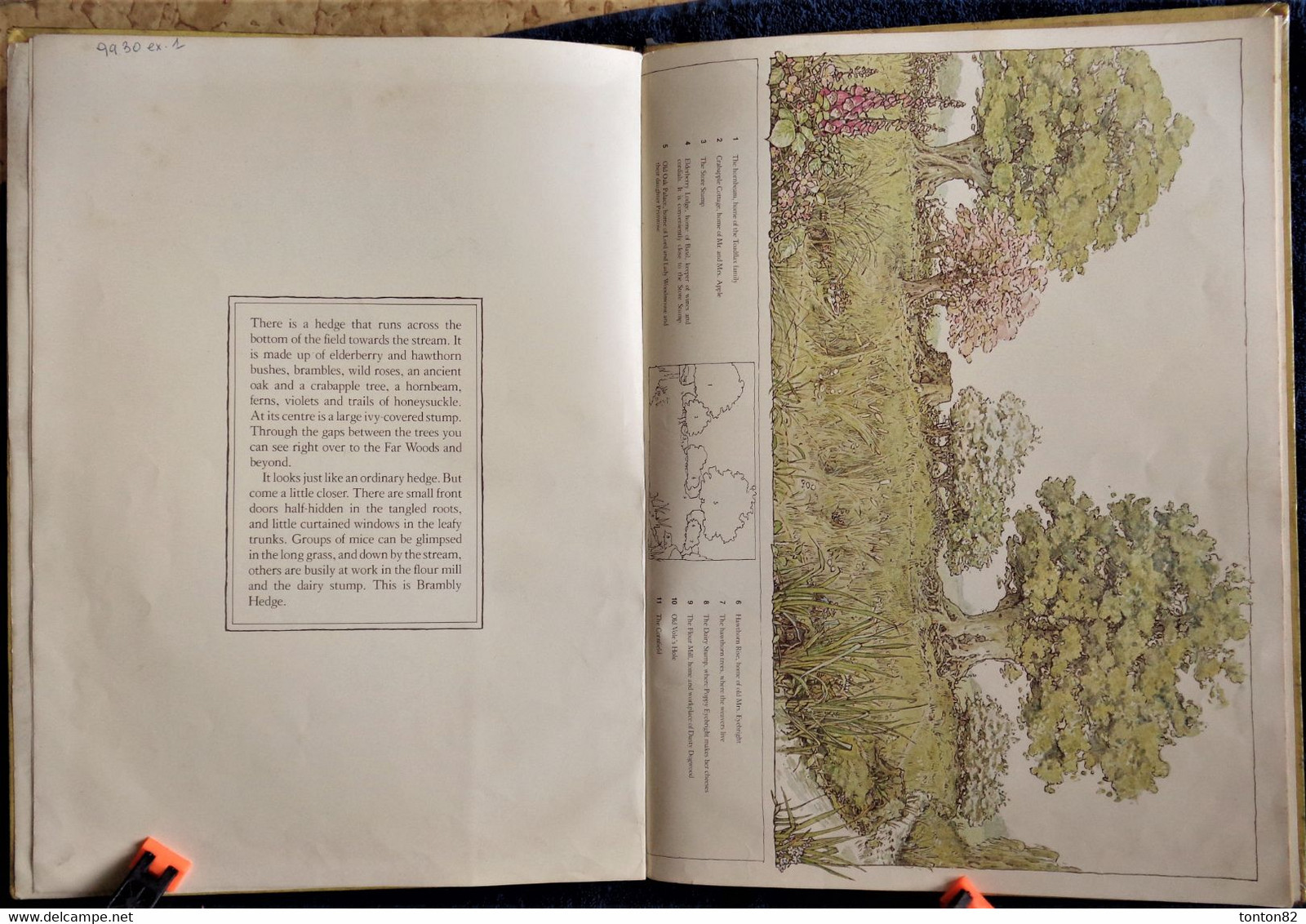 Jill Barklem - The Big Book Of Brambly Hedge - Collins - ( 1981 ) - Texte En Anglais . - Andere & Zonder Classificatie