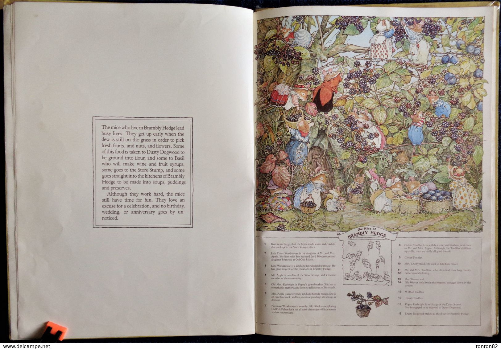 Jill Barklem - The Big Book Of Brambly Hedge - Collins - ( 1981 ) - Texte En Anglais . - Other & Unclassified