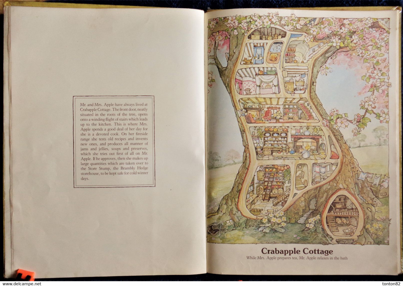 Jill Barklem - The Big Book of Brambly Hedge - Collins - ( 1981 ) - Texte en Anglais .