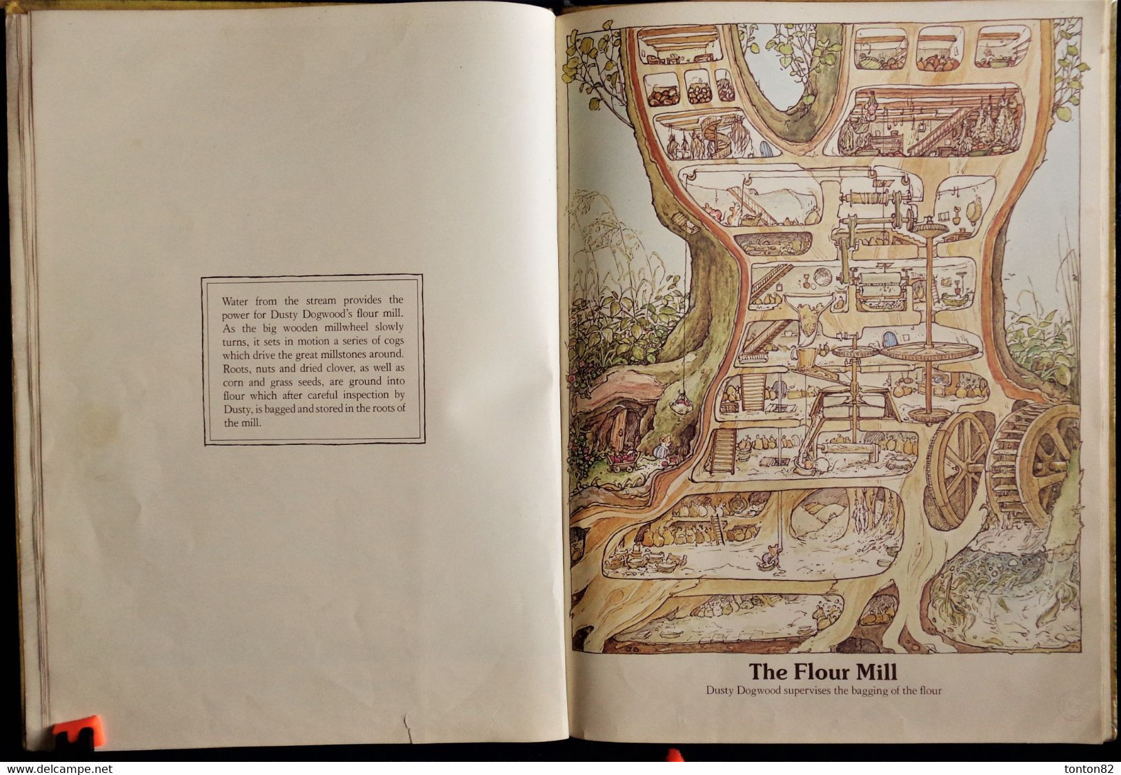 Jill Barklem - The Big Book of Brambly Hedge - Collins - ( 1981 ) - Texte en Anglais .