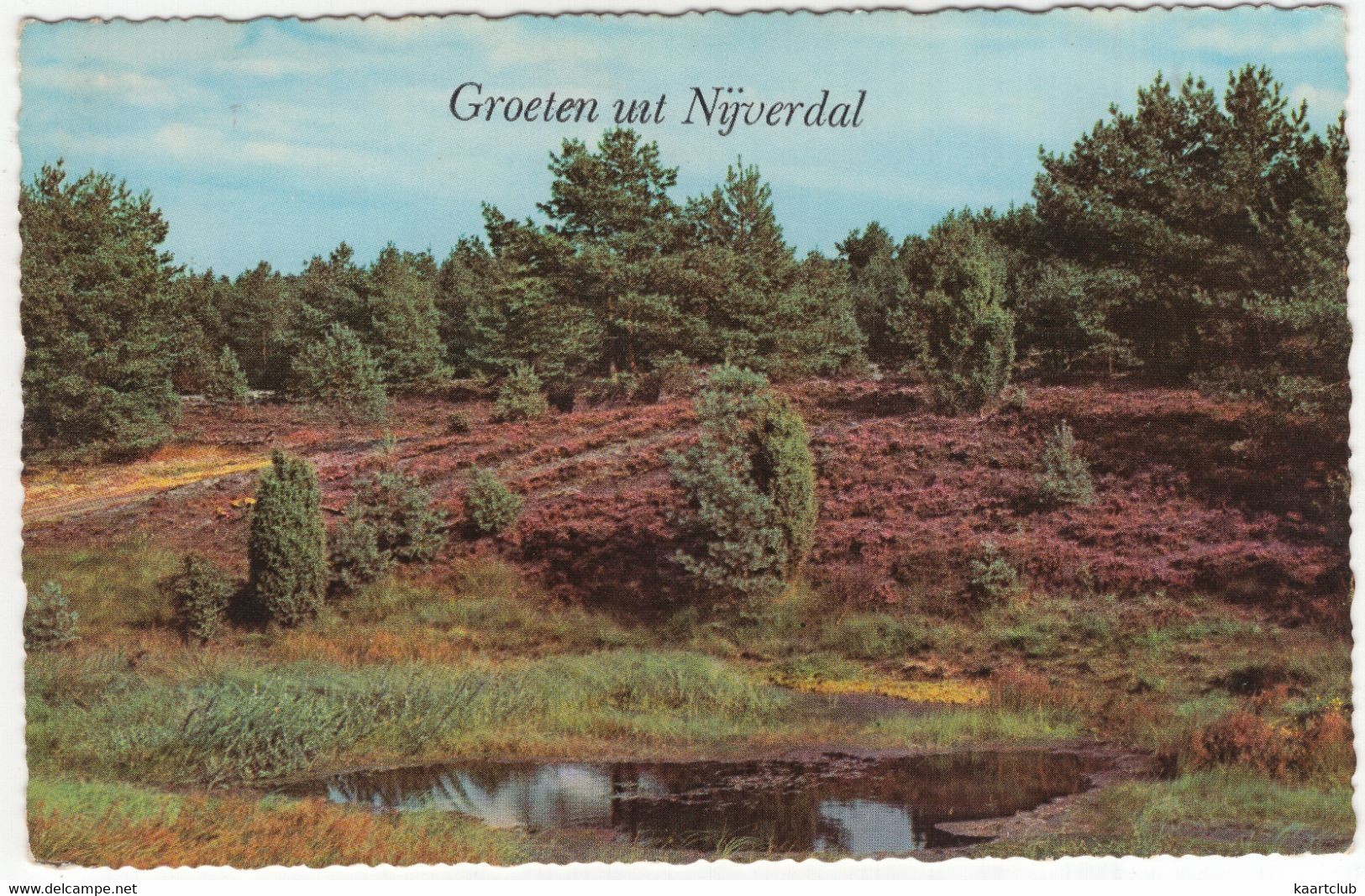 Groeten Uit Nijverdal -  (Overijssel, Nederland/Holland) - 1965 - Heide - Nijverdal