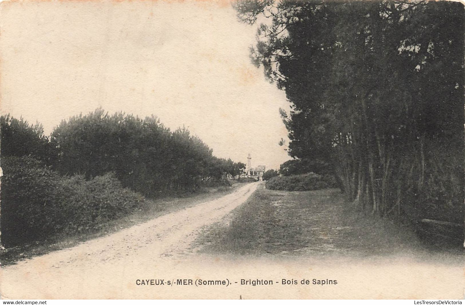 CPA Cayeux Sur Mer - Brighton - Bois De Sapins - - Cayeux Sur Mer