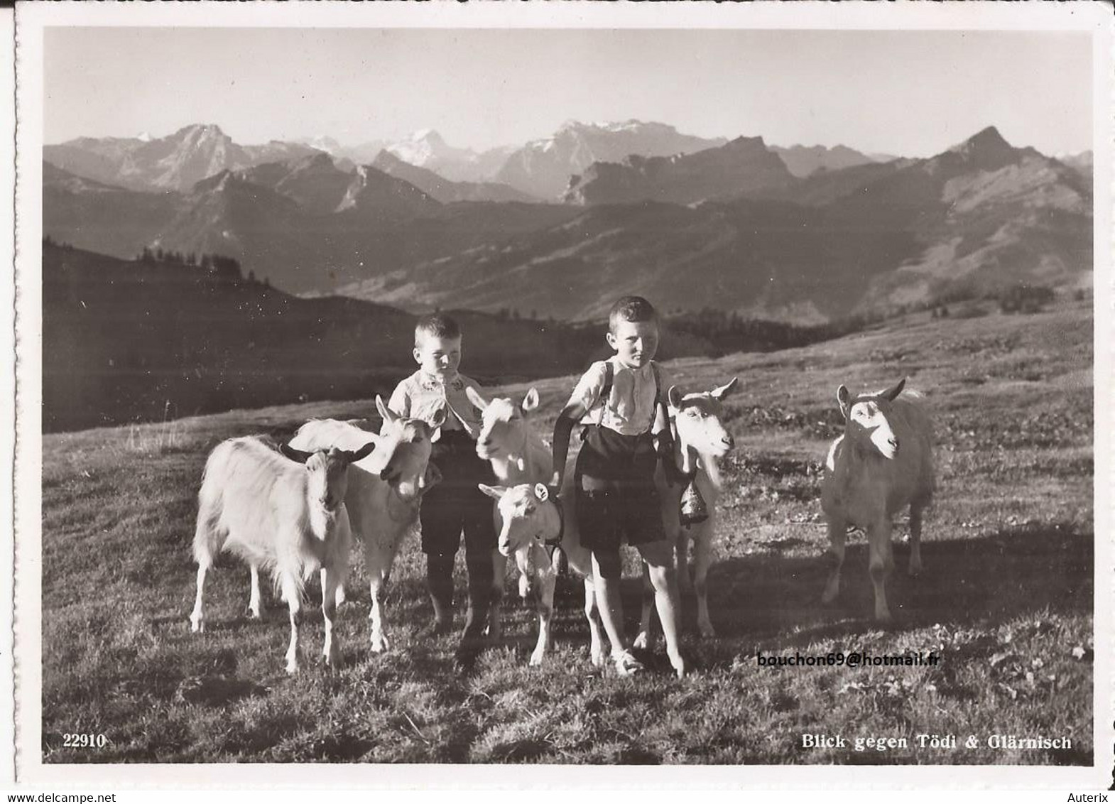 Suisse - C -  St. Gall - Blick Gegen Tödi Und Glarnisch 22910 Ziege Chevre Goat - St. Gallen