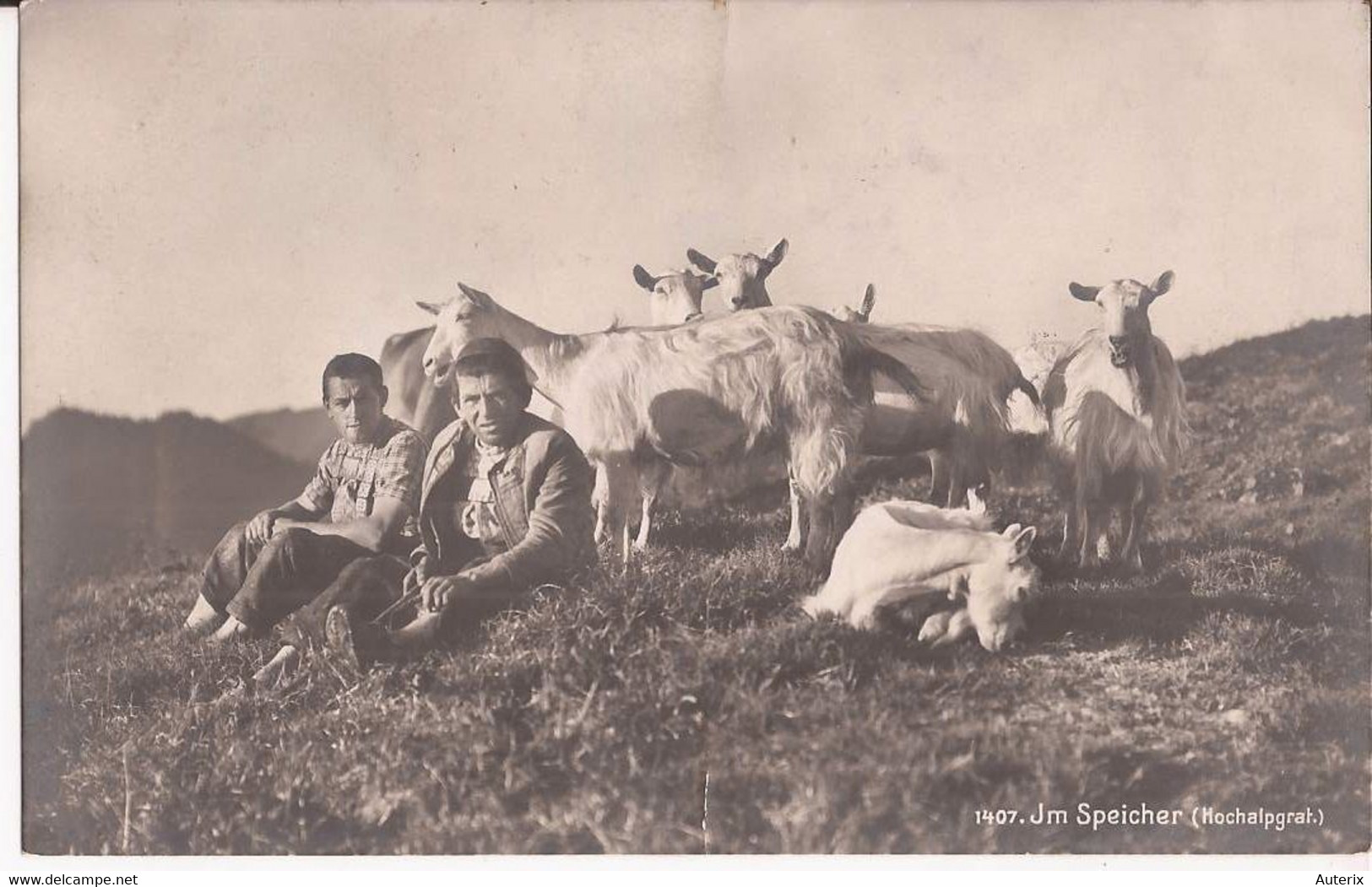 Suisse - NL - Im Speicher (Hochalpgrat.) Ziege Chevre Goat - Speicher