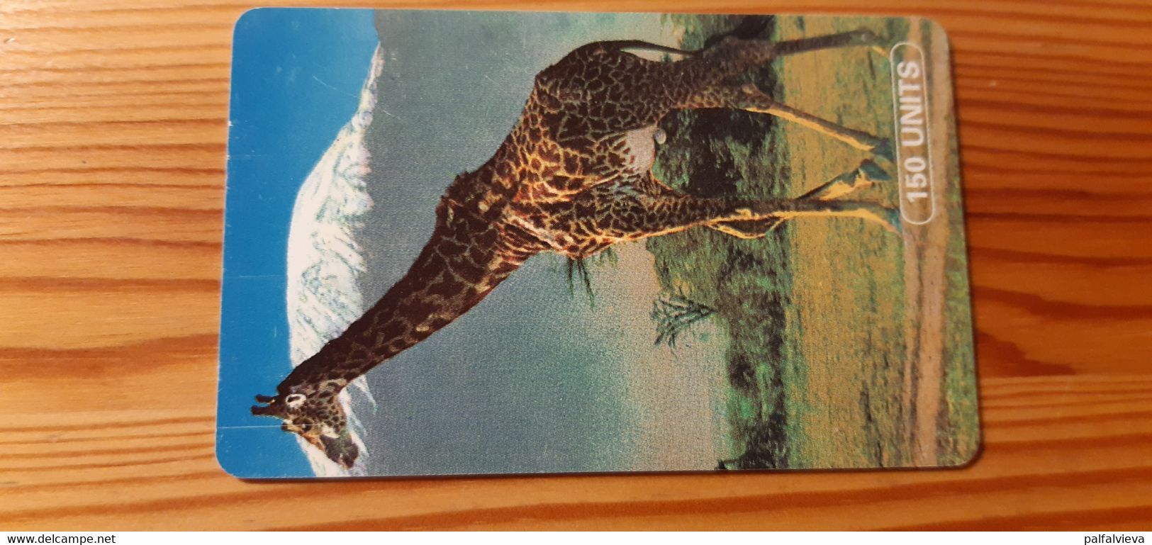 Phonecard Tanzania - Giraffe - Tanzanie