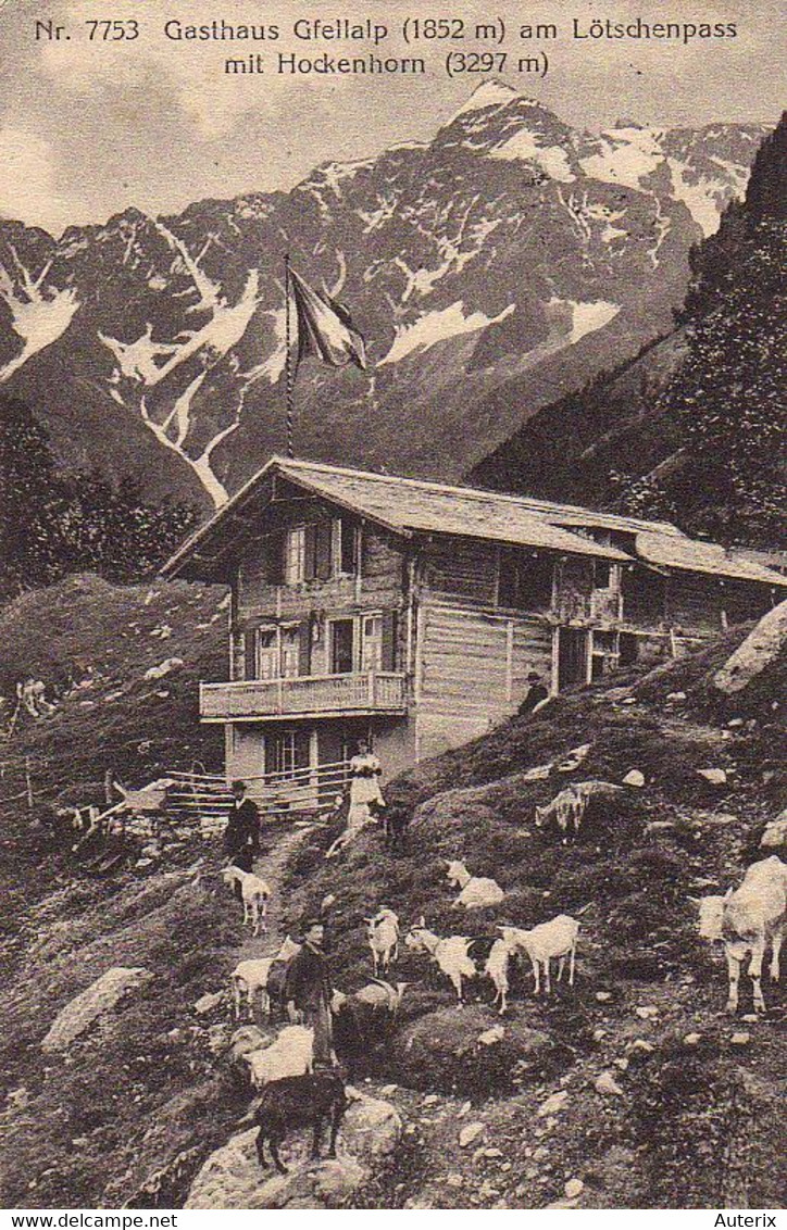 Suisse - Valais - Gasthaus Gfellalp Am Lotschenpass Mit Hockenhorn Chalet Ziege Chevre Goat - Sonstige & Ohne Zuordnung