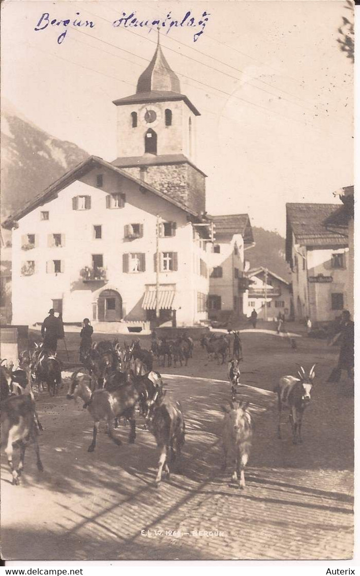 Suisse - C -  Grisons - Bergün - Hauptplatz - Ziegen Ziege Chevre Goat - Bergün/Bravuogn