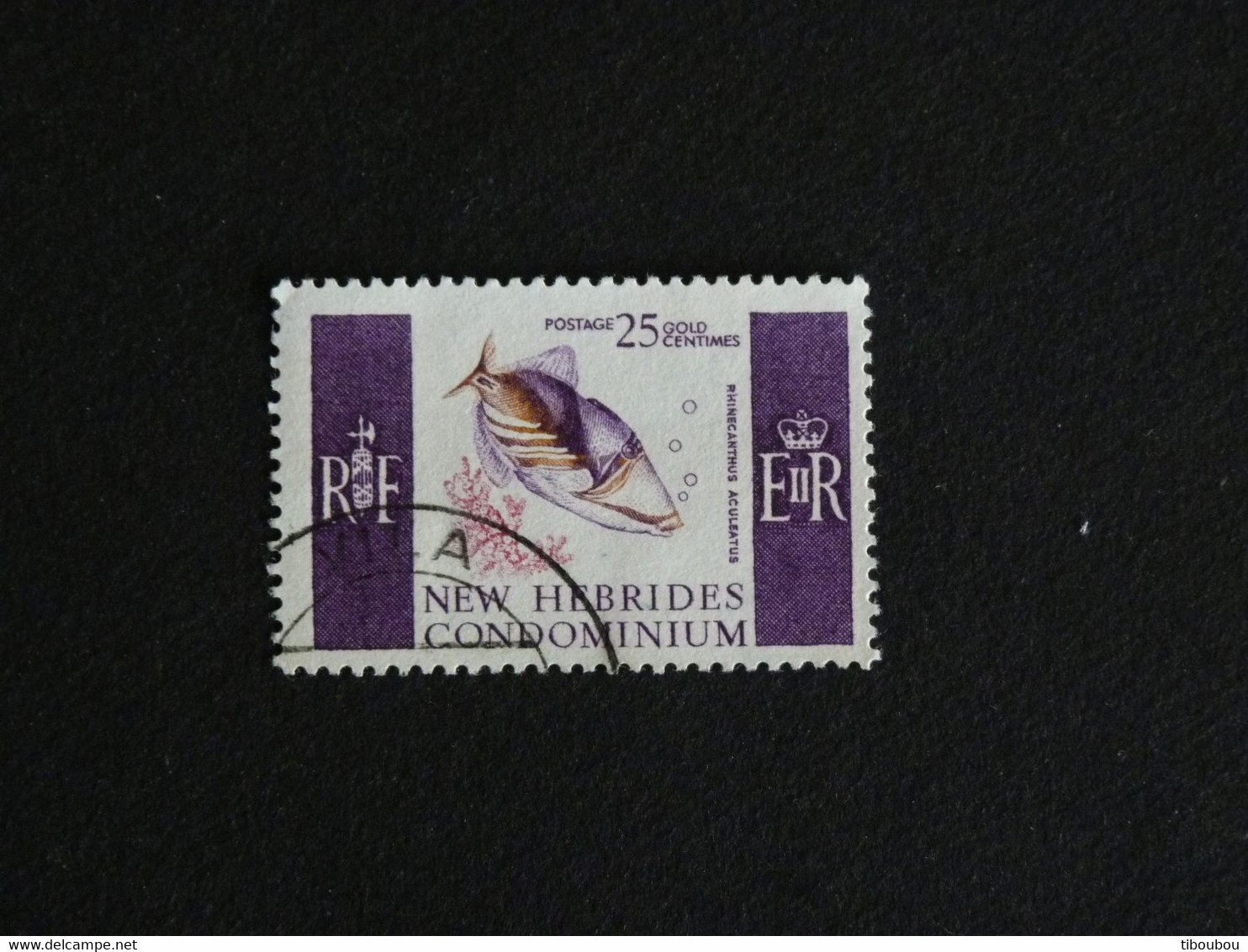 NOUVELLES NEW HEBRIDES YT 243 OBLITERE - BALISTE PICASSO CLAIR POISSON FISH - Used Stamps