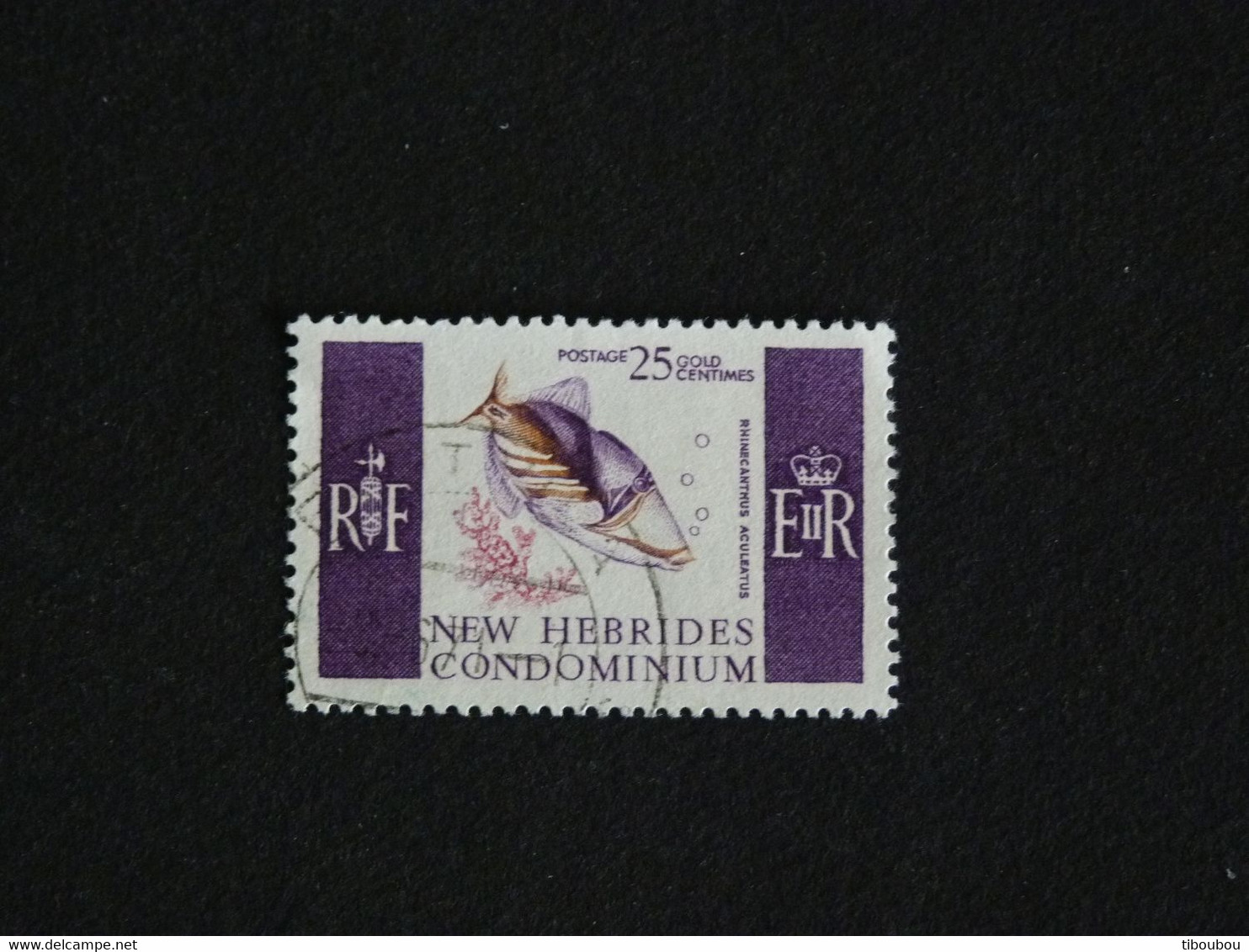 NOUVELLES NEW HEBRIDES YT 243 OBLITERE - BALISTE PICASSO CLAIR POISSON FISH - Oblitérés