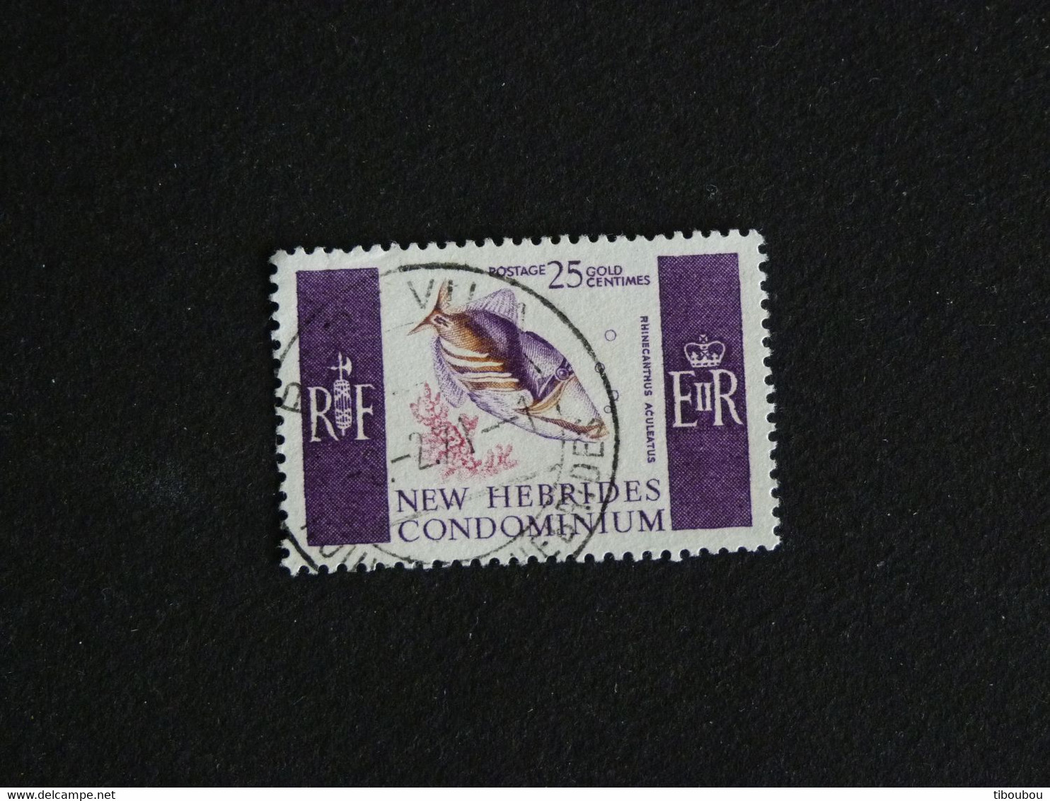 NOUVELLES NEW HEBRIDES YT 243 OBLITERE - BALISTE PICASSO CLAIR POISSON FISH - Used Stamps
