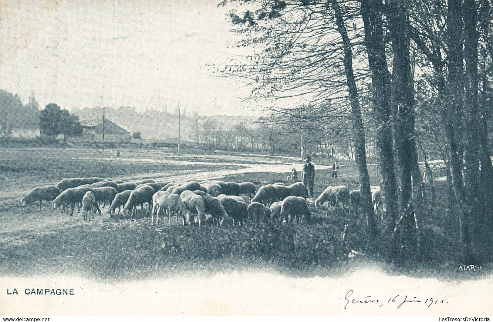 CPA Métier - Berger - Troupeau De Mouton - La Campagne - - Paysans