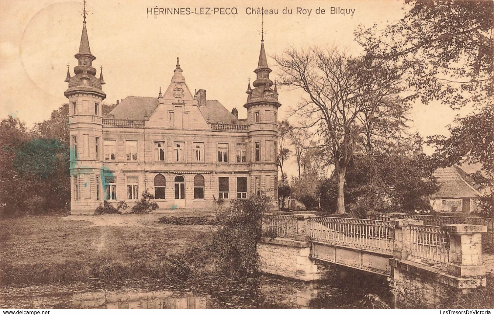 CPA Herinnes Lez Pecq - Chateau Du Roy De Bliquy - Pecq