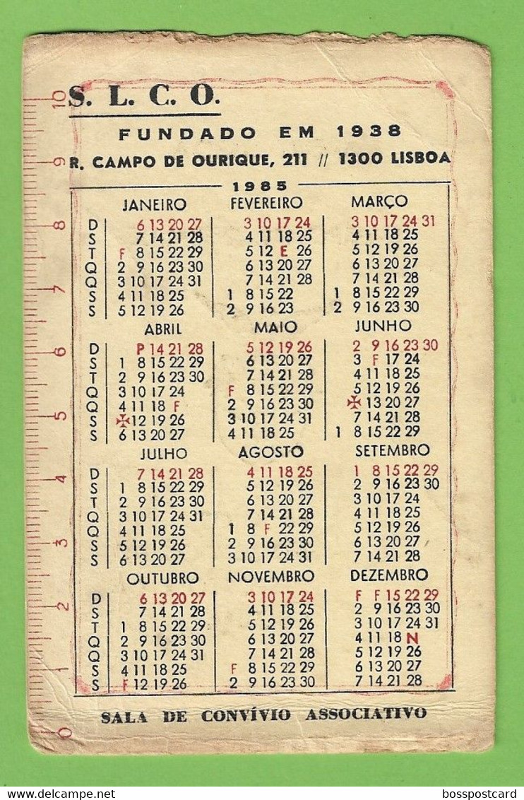 Lisboa - Calendário De 1985 Do Sport Lisboa E Campo De Ourique - Portugal - Grand Format : 1981-90