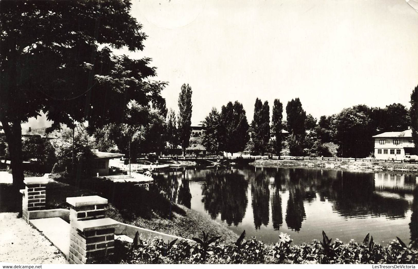 CPA Cimpina - Lacul Din Parc - Romania