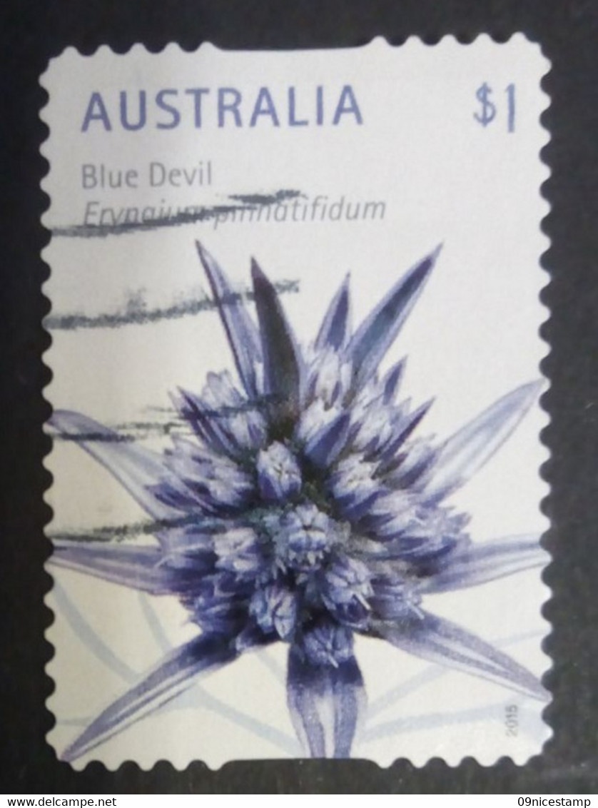 Australia, Year 2015, Cancelled, Flowers; Blue Devil - Used Stamps