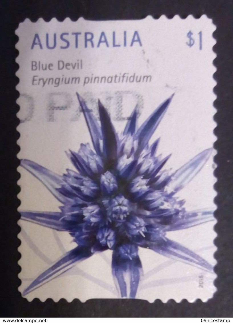 Australia, Year 2015, Cancelled, Flowers; Blue Devil - Used Stamps