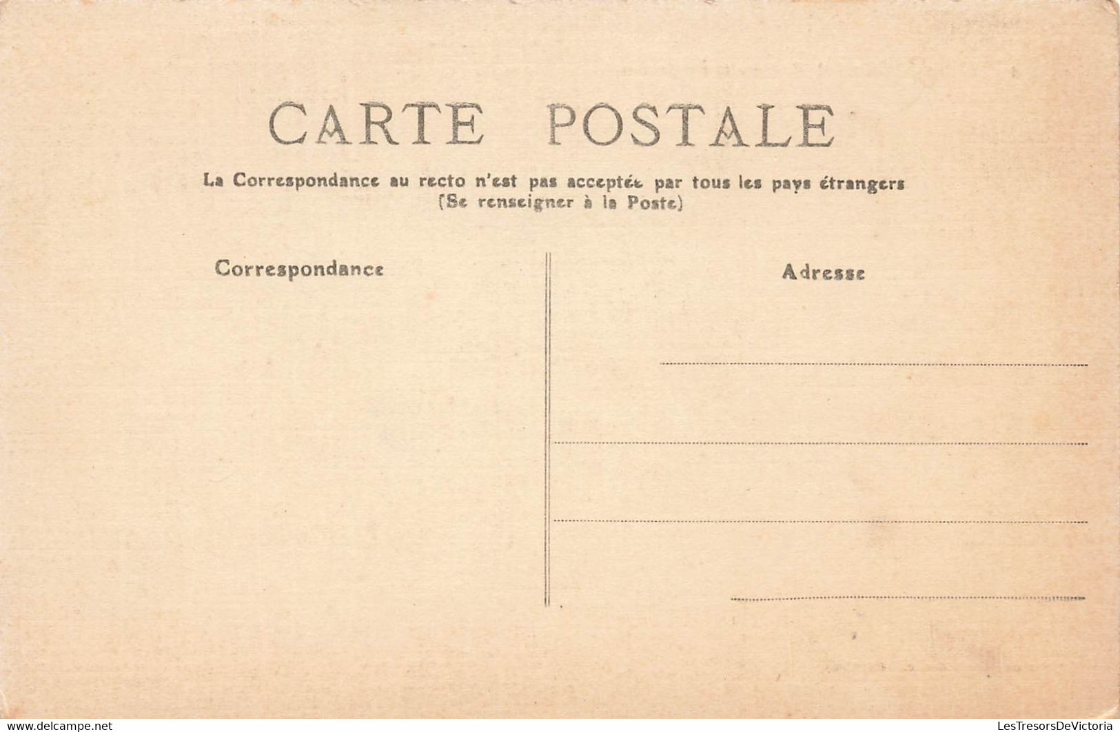 CPA Dans Le Comtat - La Recolte Des Truffes - Cochon Truffier - Autres & Non Classés