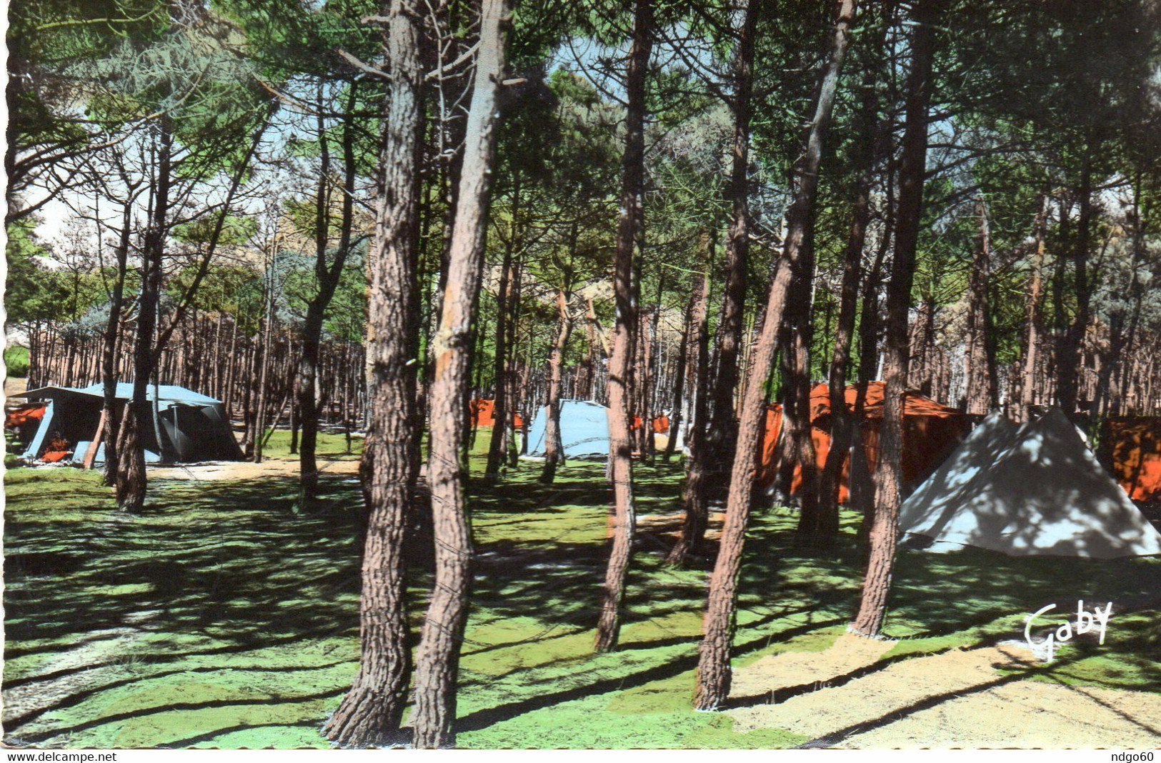 Brétignolles Sur Mer , Environ De Saint Nicolas De Brem , Le Camping - Bretignolles Sur Mer